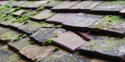 Holme roof repair costs